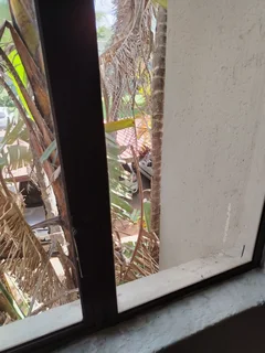 Room available in a 2 bedroom flat