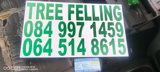 Tree feller specialist