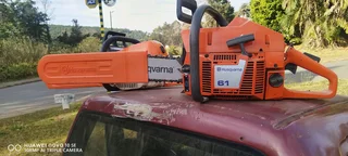 Tree feller specialist