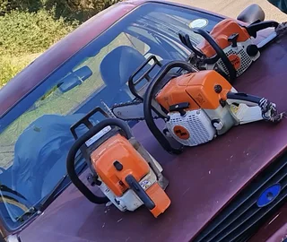 Tree feller specialist