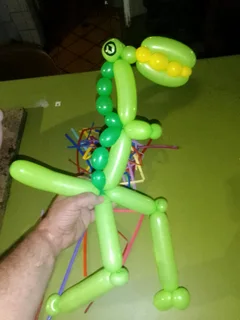 Kids Parties,  Magic and Balloon animals by Mungo the Clown