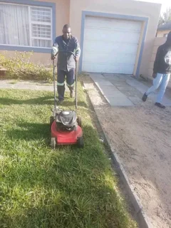 Tree felling and Grass cutting