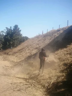 Tree felling/Rubble removal and Grass cutting