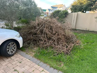 Tree felling and Grass cutting/ installation