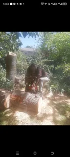 Tree felling and Grass cutting/ installation