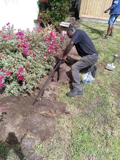 Trees, Grass and Rubble