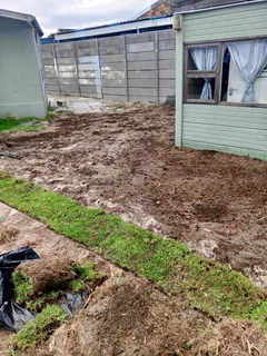 Trees, Grass and Rubble