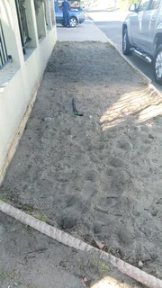 Grass installation specialist