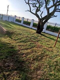 Grass installation specialist