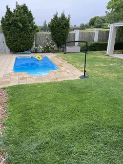 Grass installation specialist