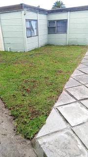 Grass installation specialist