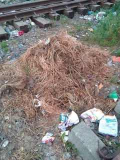 Garden waste removal