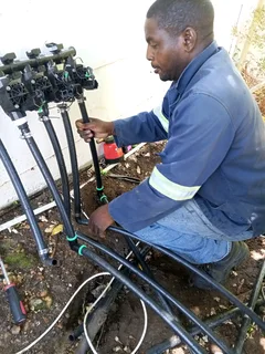 Tree felling and Grass cutting