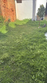 Tree felling and Grass cutting