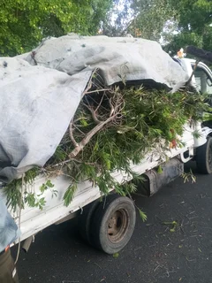 Tree felling and Grass cutting