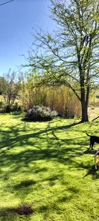House with cottage in Eastern Cape in SA - close to Komani/Queenstown & Stutterheim