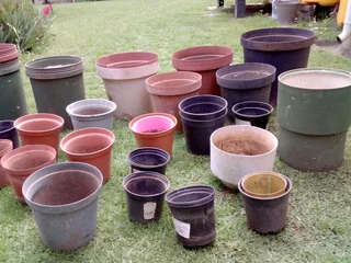 Planting Pots