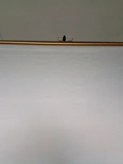 Radiant Champion Silver screen protector on stand