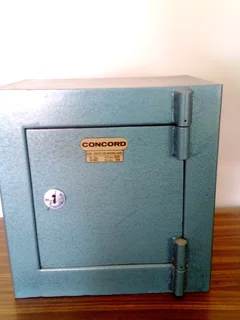 Concord Gun Safe with key and back wall mounting holes