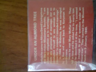 Genuine Fragment from the Livingston Tree at Kuruman