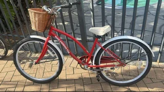 Adult female bicycle.