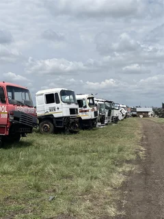 Trucks available for stripping spares, cabs, windows, doors, drums and much more.