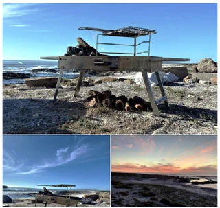 Sale-take This Braai Anywhere! Lekker Braai With The Complete Safari Braai!!!