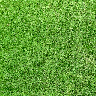 Tired Of Mowing, Weeding And Trimming?the Seagull 20mm Artificial Grass Roll-2m X 3m Is The Answer.