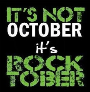 TYPHOON 26LT FAN FORCED OUTDOOR FLUELESS GEYSER WITH REMOTE. FREE COURIER.