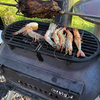 SUMMER MADNESS ON THE OZPIG BIG PIG WOOD FIRE STOVE