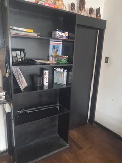 Display Cabinet / Room Divider with Door