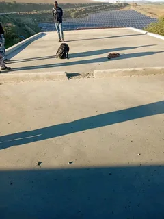 Painting and waterproofing contractor available!!