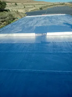 Painting and waterproofing contractor available!!