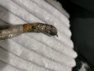 ANTIQUE PHIHA KEATTA WITHE STYLUS AND SHEATH