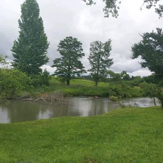 Young family seeks place for rent