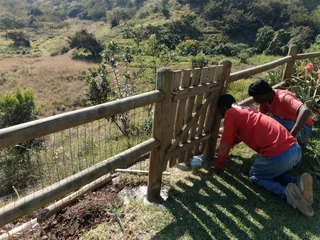 General Home Maintenance &amp; Renovations