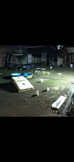 Safe Haven For Rabbits