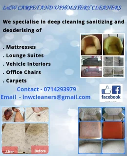 Carpet And Upholstery Cleaning