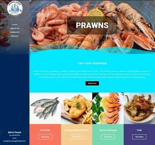 I design Websites for companies from  R950