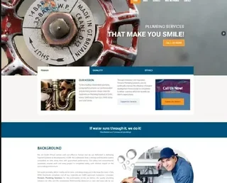 I design Websites for companies from  R950