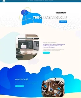 Professional Website Designs from R950