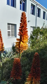 Wynberg Village: Smart 93 sqm Office Unit in Tranquil Complex