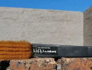 Retro Vinyl Clothes Brush Japan