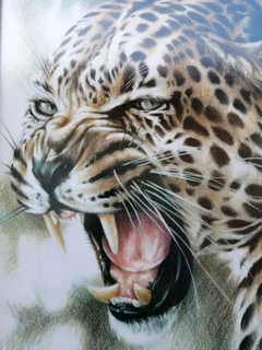 Original Leopard Print signed J Mills