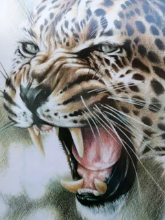 Original Leopard Print signed J Mills
