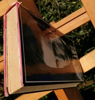 The Day of the Jackal Frederick Forsyth 1971 4th Impression