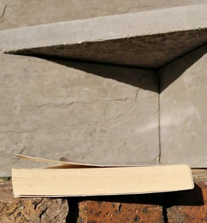 William Burroughs Cities of the Red Night 1982 Picador