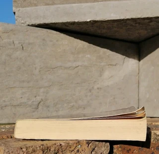 William Burroughs Cities of the Red Night 1982 Picador