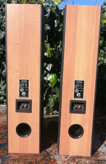 Vtg HiFi Floor Standing Speaker Set-CAT LEB-404 -Germany Logicom