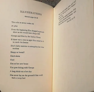 Born Free Joy Adamson - Lion Cub raised by the Adamsons